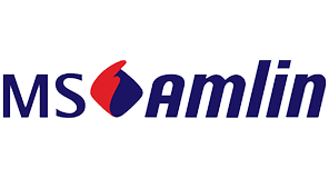Logo msamlin
